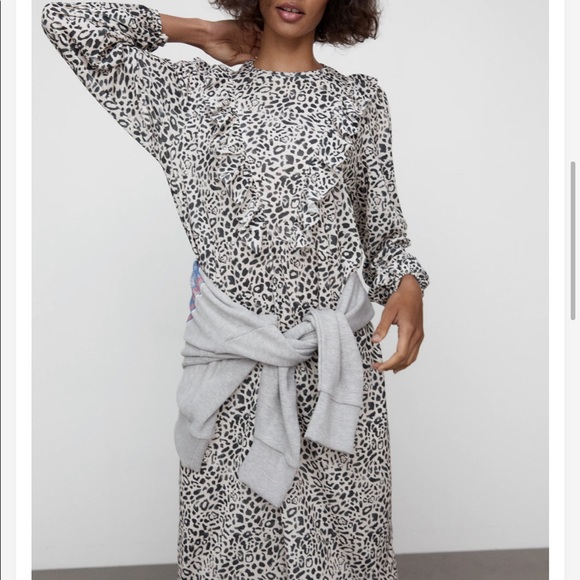 Zara Midi Dress - Picture 6 of 13